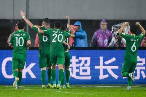 开云体育APP注册登录-山东归化球员德尔加多