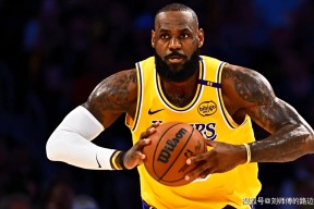 KAIYUN体育平台手机端-湖人队dj